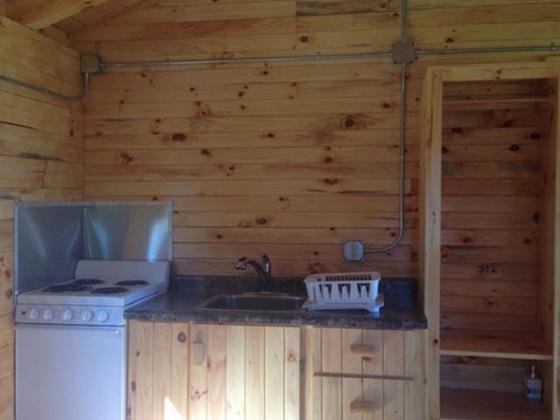 Knotty-pine cabin interior with a small white electric stove, a sink, and cabinets